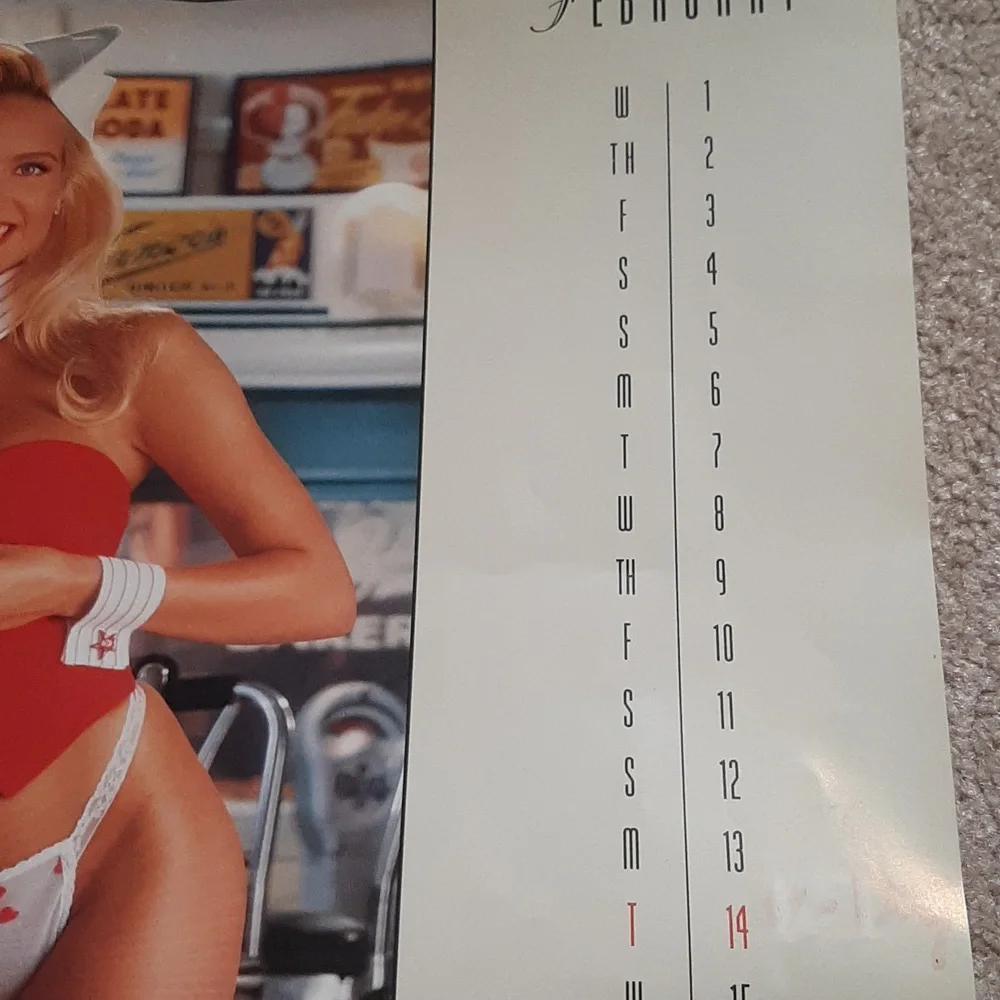 Vtg. 1995 Playboy Calendar - Picture 3 of 8